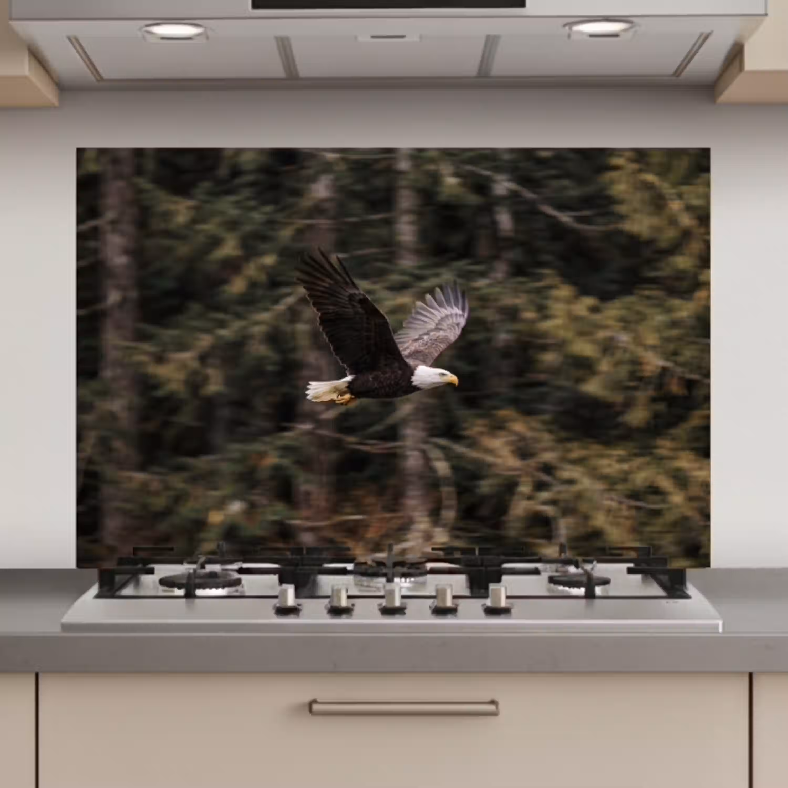 Zeearend - Vliegen - Bos - Natuur keuken achterwand spatscherm klein -3d_website