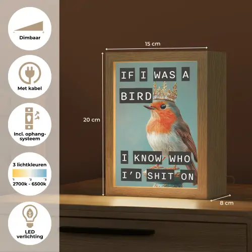 Roodborstje - Vogel - Blauw - Decoratie Light Box met kabel (Tafellamp) klein -USP_NL