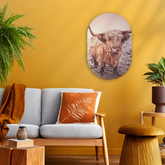Schotse hooglanders - Licht - Lucht - Natuur Wandcirkel Ovaal Forex klein -sfeer4