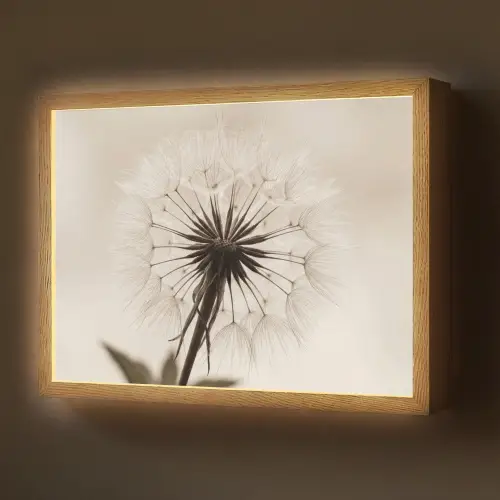 Paardenbloem - Minimalistisch - Wit Light Box met batterij (Wandlamp) middel -z3d_website