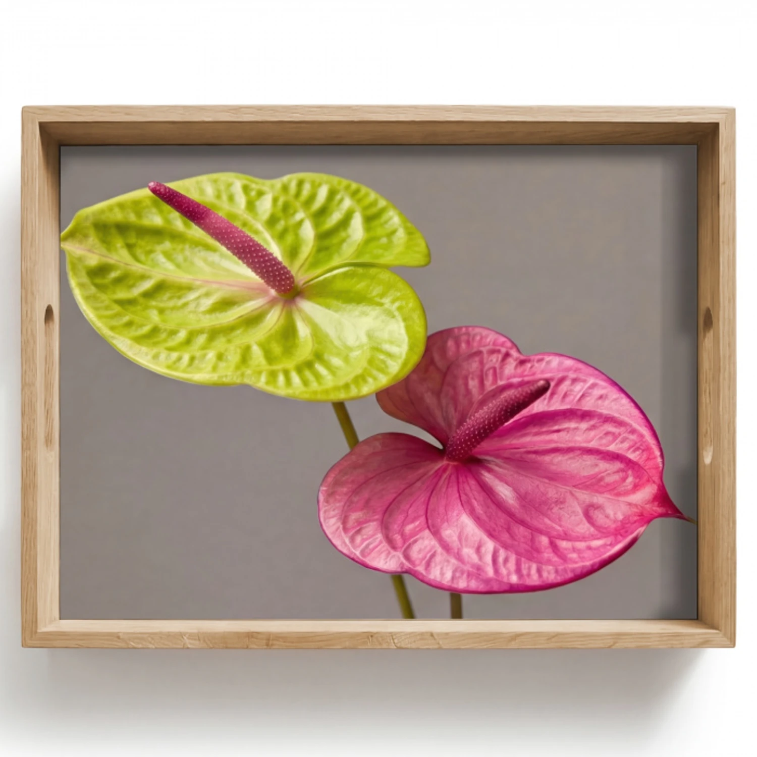 Planten - Anthurium - Groen - Roze Dienblad Rechthoek middel -z3d_shopping