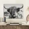 Schotse hooglander - Close up - Horens - Vacht - Zwart Wit PET vilt klein -sfeer1