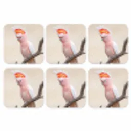 Papagaai - Tak - Roze onderzetter kurk middel -3d