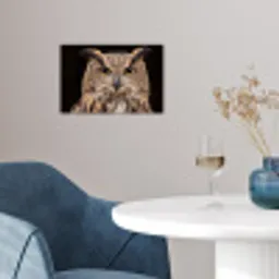 Oehoe - Uil - Portret - Bruin poster papier klein -sfeer3