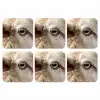 Schaap - Oog - Wit onderzetter kurk middel -3d