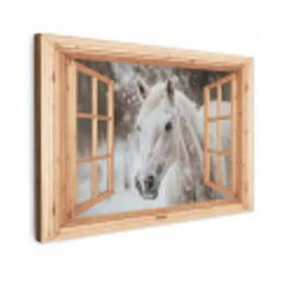 Doorkijk - Paard - Wit - Winter - Sneeuw - Dieren Tuinposter op houten frame 2 cm dik klein -3d