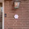 Lila - Sierlijk Naambord Hexagon klein -sfeer7-hexagon-XS