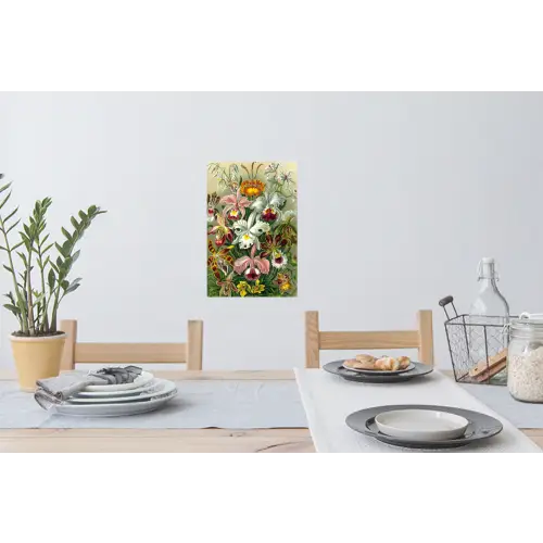 Planten - Natuur - Bloemen - Ernst Haeckel Muursticker klein -eettafel