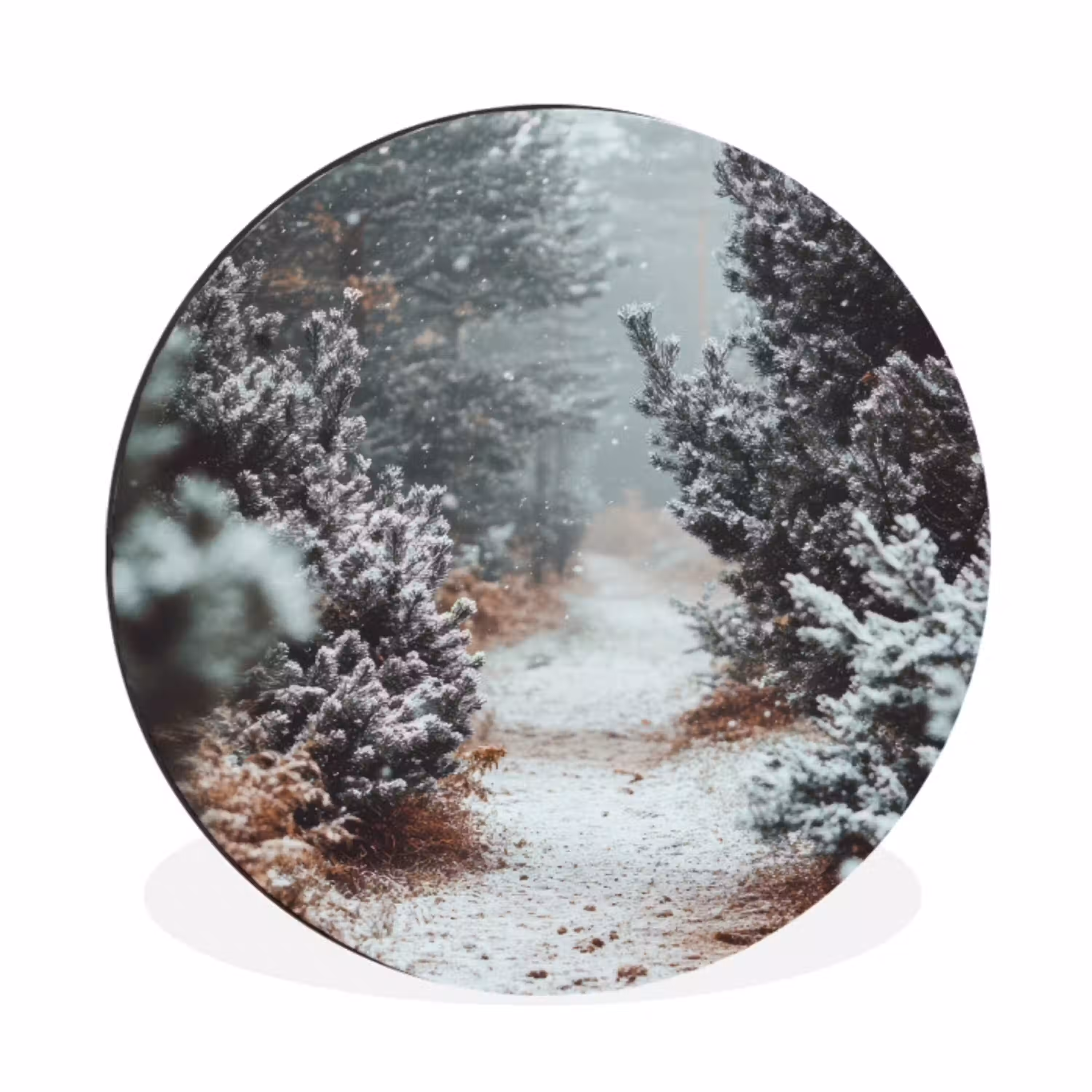 Bos - Winter - Bomen - Natuur - Pad - Sneeuw Wandcirkel aluminium klein -3d