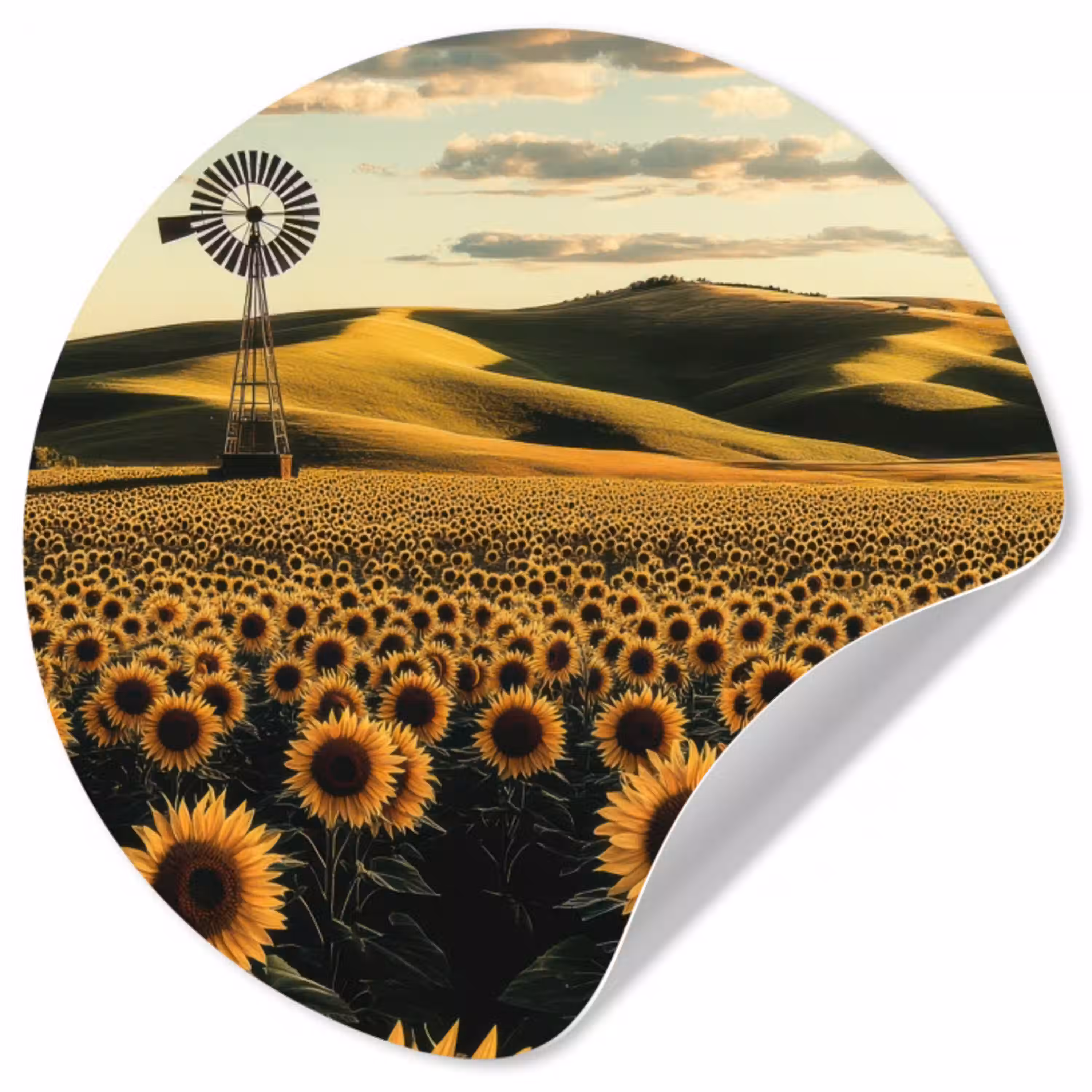 Zonnebloem - Veld - Windmolen Wandcirkel behangsticker klein -3d
