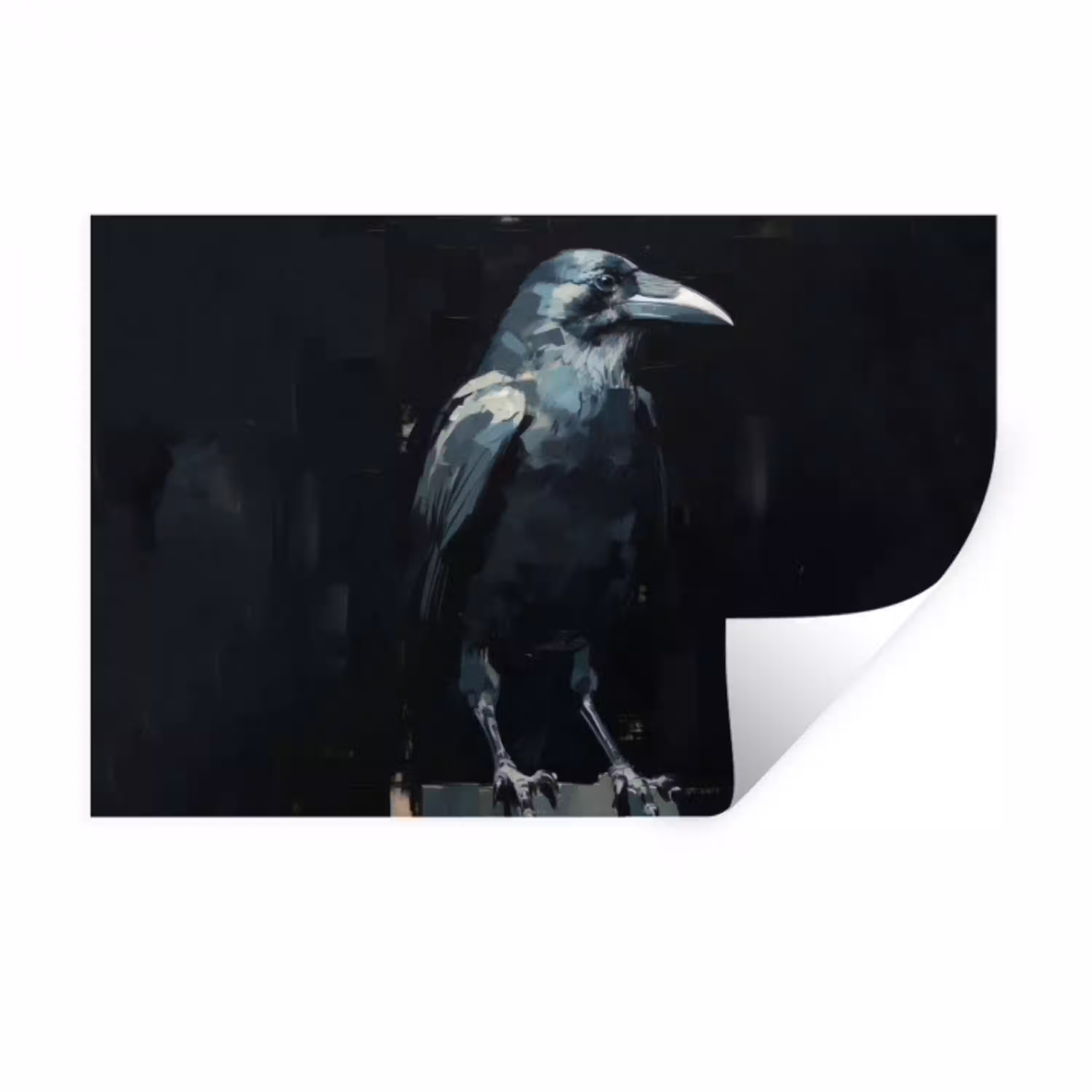 Raaf - Vogels - Zwart Muursticker klein -3d
