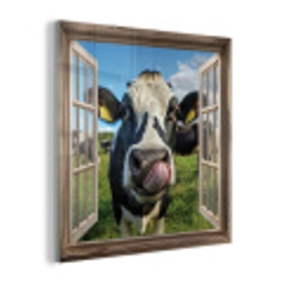 Doorkijk - Koe - Weiland - Dieren - Natuur plexiglas 5mm klein -z3d