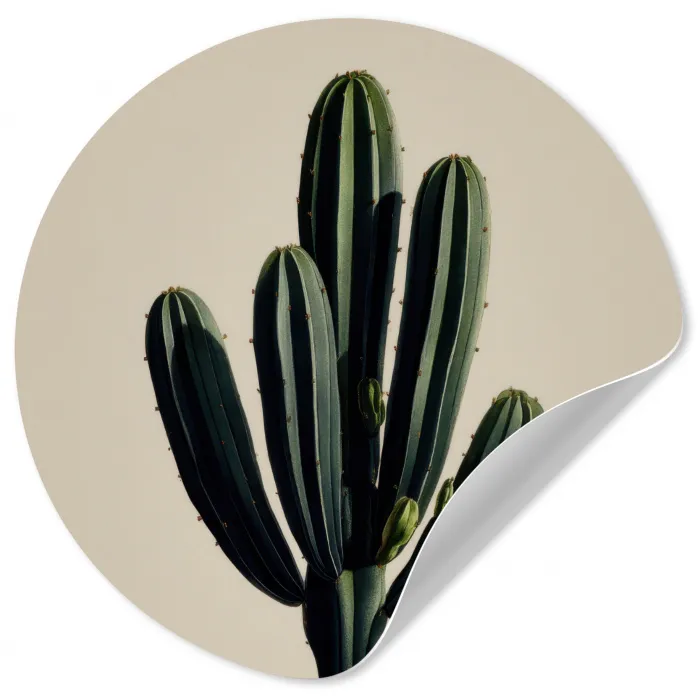 Cactus - Subtiel - Groen Wandcirkel behangsticker klein -3d