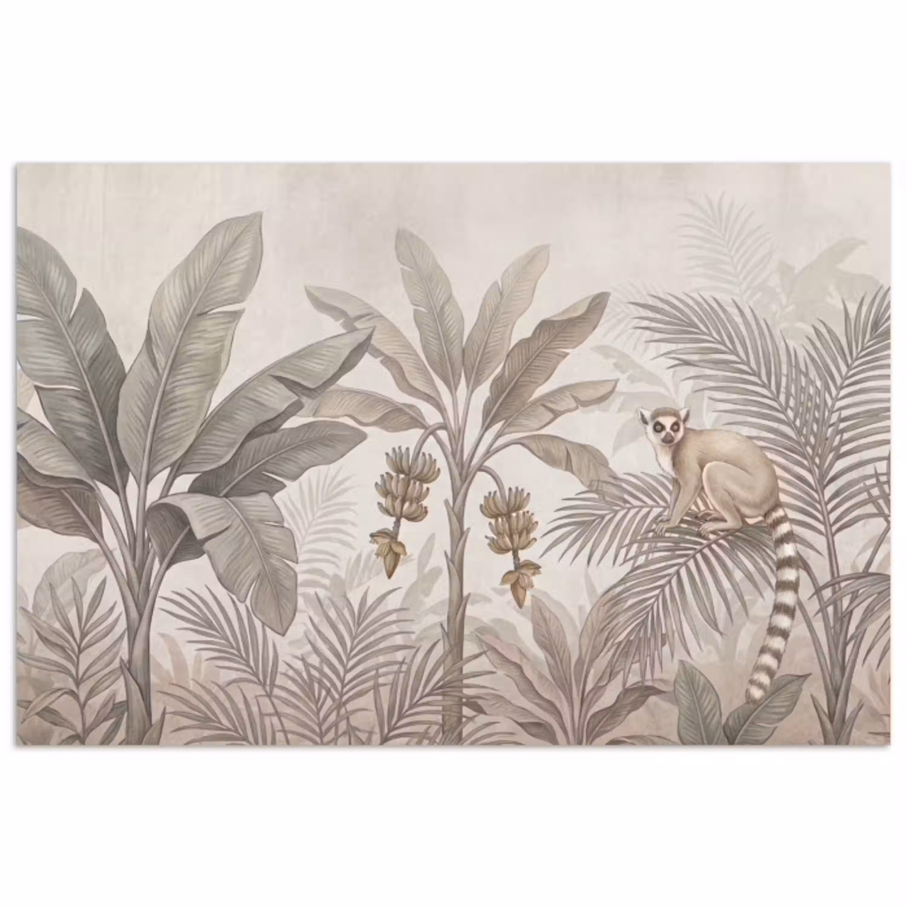 Natuur - Jungle - Ringstaartmaki - Bruin poster papier klein -3d