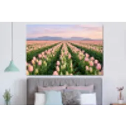 Tulpen - Landschap - Roze forex 5mm xxl -slaapkamer