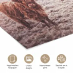 Schotse hooglanders - Licht - Lucht - Natuur poster papier klein -closeup_NL