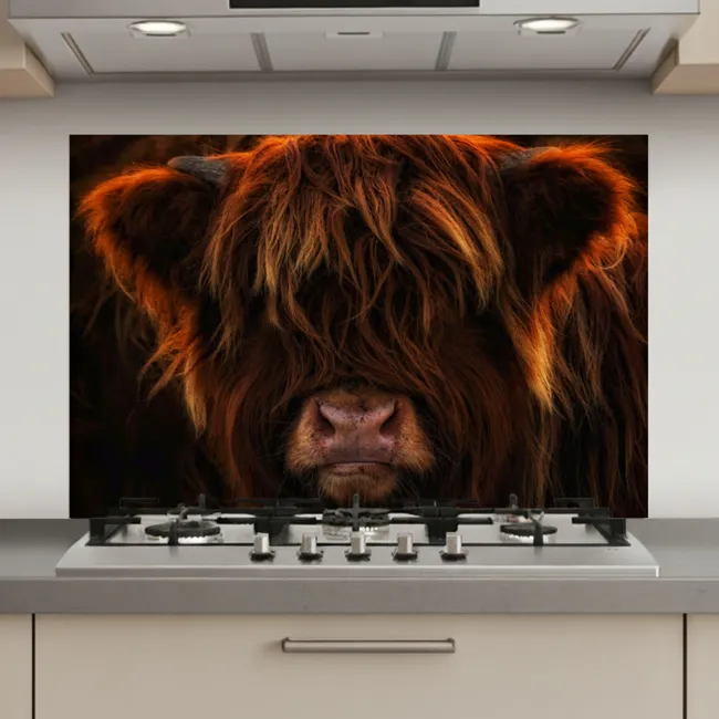 Schotse Hooglander - Koe - Portret - Dieren keuken achterwand spatscherm klein -3d_website