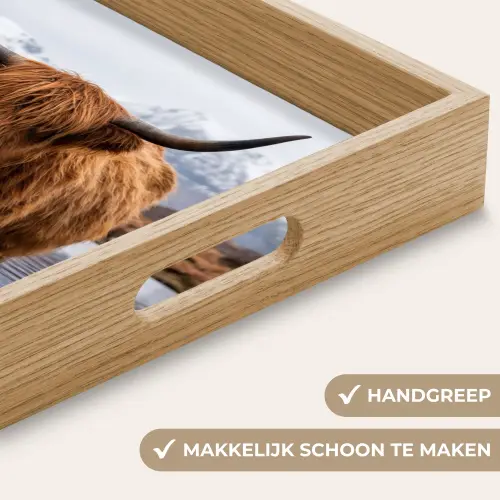 Schotse hooglander - Bruin - Water Dienblad Rechthoek middel -USP_HandgreepNL