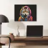 Graffiti - Wolf - Jas - Zwart PET vilt klein -sfeer5
