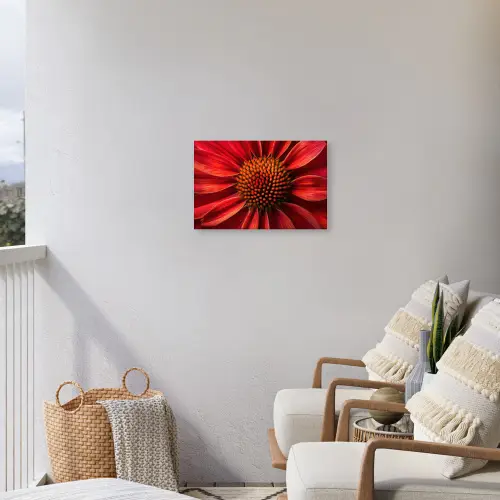 Close up - Bloem- Rood Tuinposter op houten frame 2 cm dik klein -sfeer1