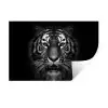 Tijger - Dieren - Zwart - Wit - Portret - Wild Muursticker klein -3d