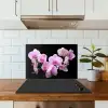 Orchidee - Bloemen - Roze - Flora keuken achterwand spatscherm klein -sfeer2
