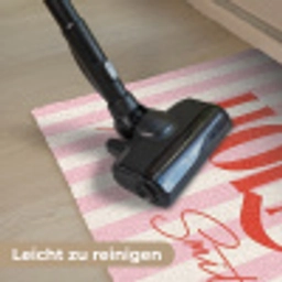 Hola Deurmat klein -reinigen_DE