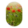 Lente - Bloemen - Rood - Klaproos - Gras - Groen Wandcirkel Ovaal Forex klein -3d