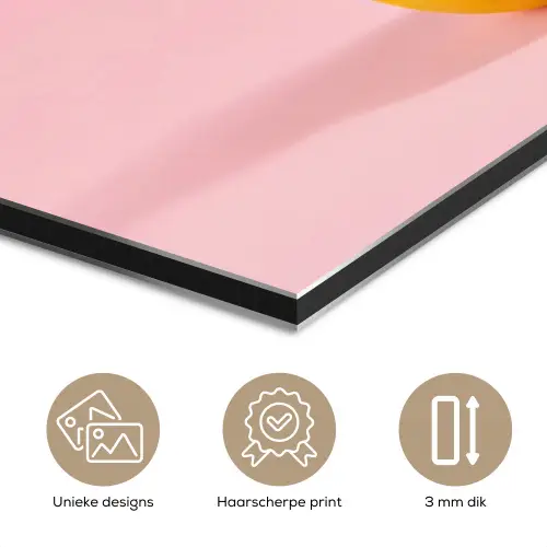 Matroos - Eend - Roze aluminium wit klein -closeup_NL