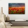 Zonsondergang - Klaprozen - Rood - Bloemen - Veld - Natuur canvas 2cm klein -sfeer6