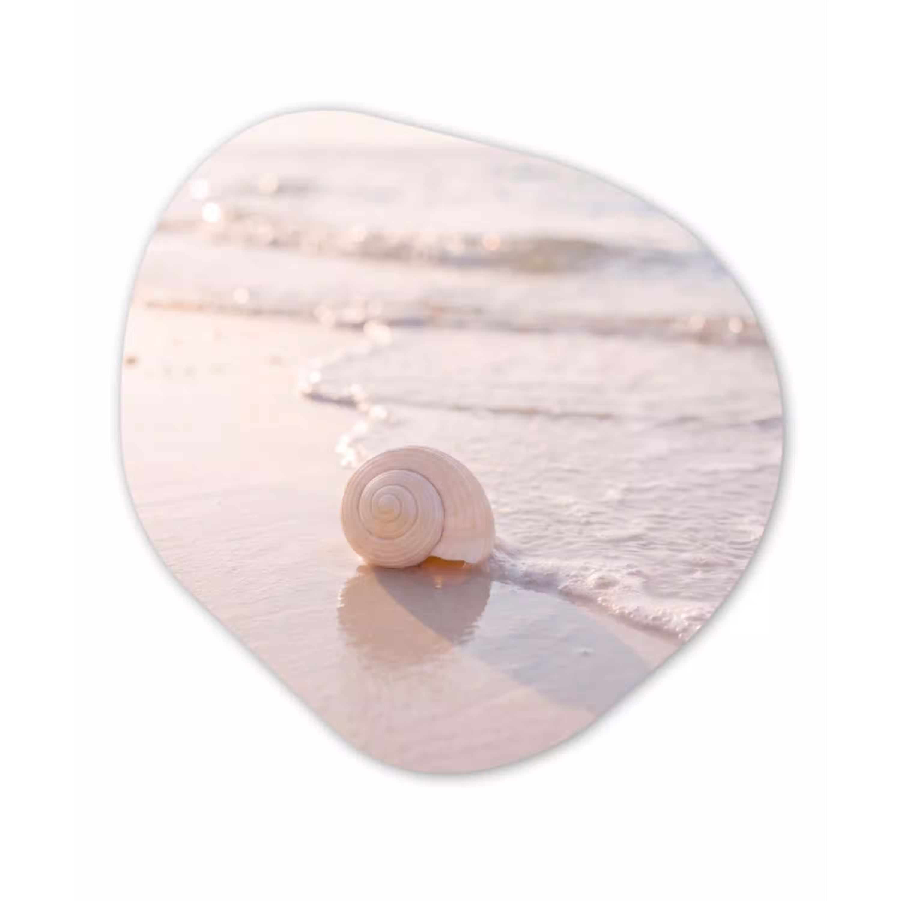 Zeeschelp - Strand - Zee - Natuur - Beige Wandcirkel Organisch Aluminium middel -3d