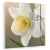 Narcis - Bloem - Minimalistisch plexiglas 5mm klein -zzzproduct_nieuw