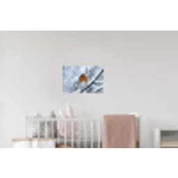 Roodborstje - Tak - Sneeuw - Winter - Levendig Muursticker klein -kinderkamer