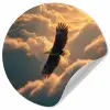 Adelaar - Wolken - Zon Wandcirkel behangsticker klein -3d