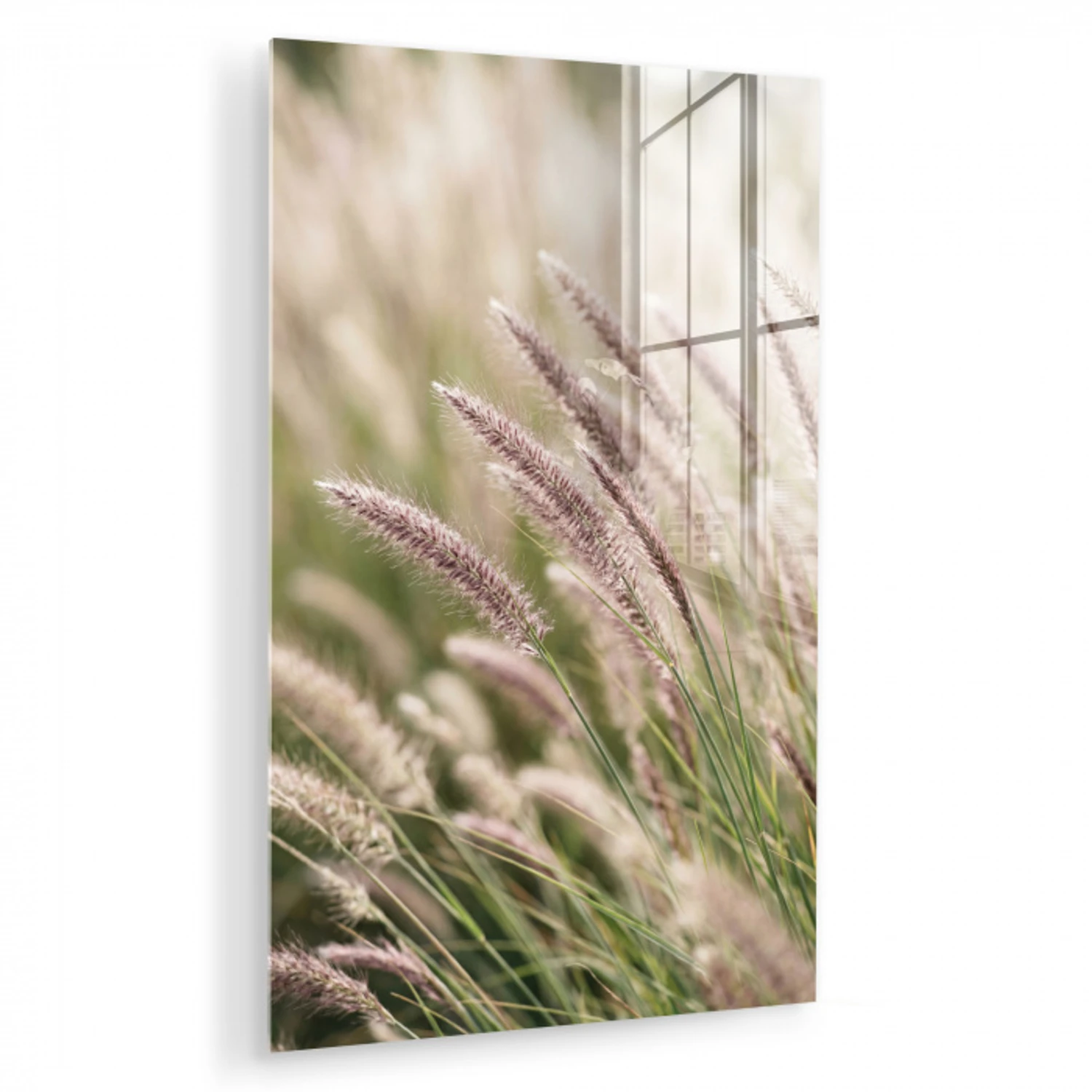 Gras - Close up - Groen plexiglas 5mm klein -zzzproduct_nieuw