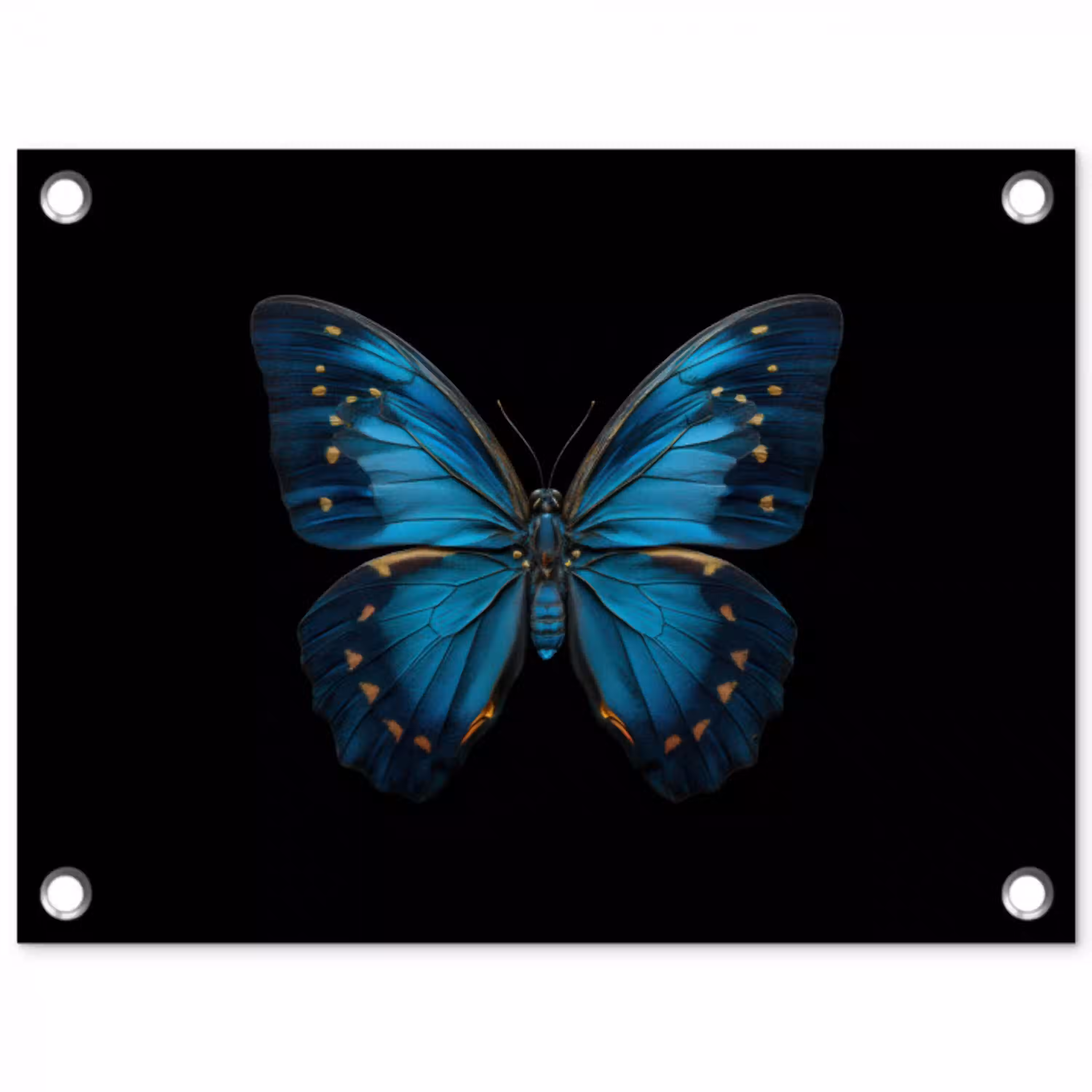 Vlinder - Blauw - Contrast tuinposter los doek klein -3d
