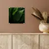 Bladeren - Schaduw - Groen - Textuur plexiglas 5mm klein -sfeer5