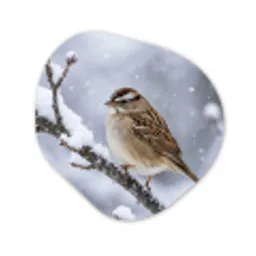 Vogel - Tak - Sneeuw - Winter Wandcirkel Organisch Aluminium middel -3d