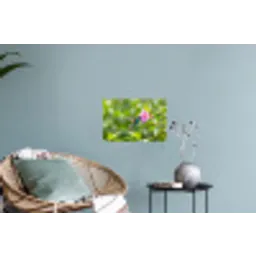 Kolibrie - Bloem - Natuur - Groen Muursticker klein -plant