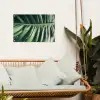 Palmblad - Tropisch - Natuur - Jungle tuinposter los doek klein -sfeer7