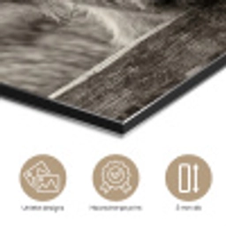 Schotse hooglander - Zwart - Wit - Hout aluminium wit klein -closeup_NL
