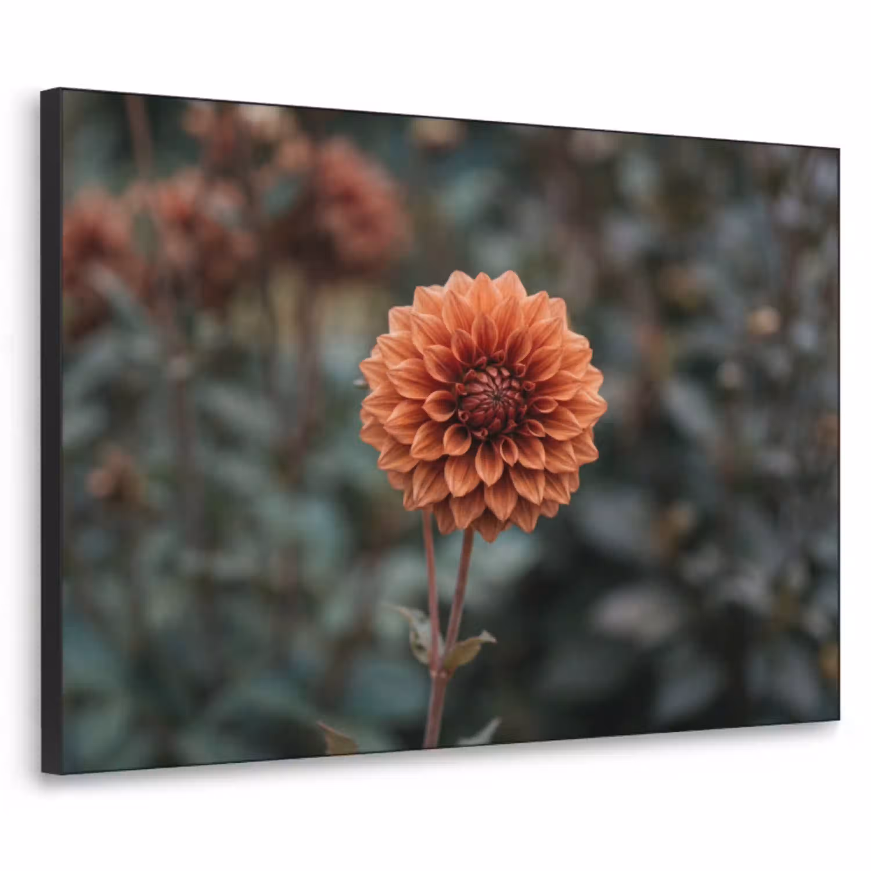 Dahlia - Bloem - Natuur - Sfeervol Textielframe zwart klein -3d
