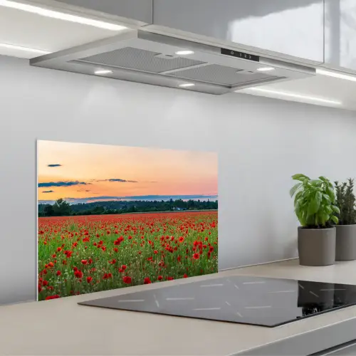 Klaprozen - Landschap - Rood - Bloemen keuken achterwand spatscherm klein -3d_schuin