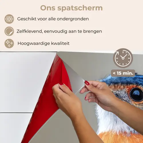 Kleurrijk - Vogeltje - Veren - Blauw keuken achterwand spatscherm klein -spatscherm_NL