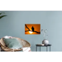 Gier - Tak - Zon - Oranje Muursticker klein -plant