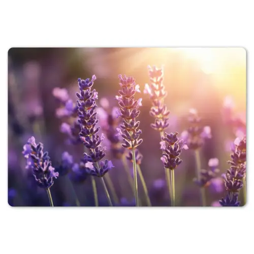 Lavendelbloemen - Paars - Zonlicht Placemat vinyl groot -zzsfeer1_Kitchenyeah-website
