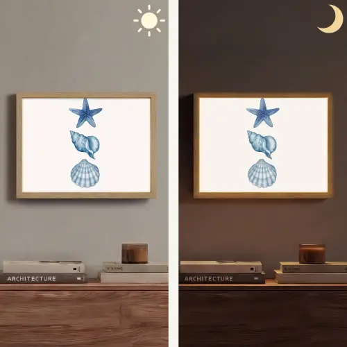 Zeester - Schelpen - Blauw Light Box met batterij (Wandlamp) middel -sfeer3