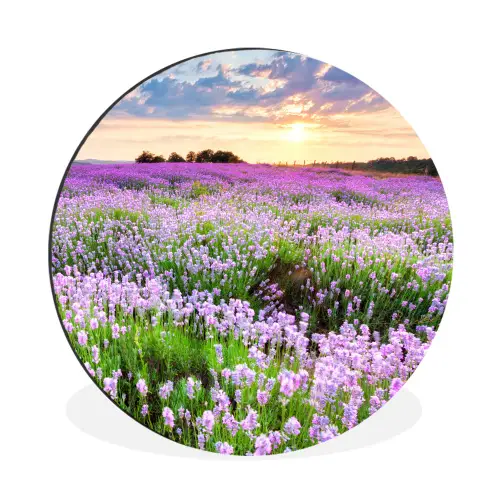 Lavendel - Bloemen - Zonsondergang - Paars - Weide Wandcirkel aluminium klein -3d