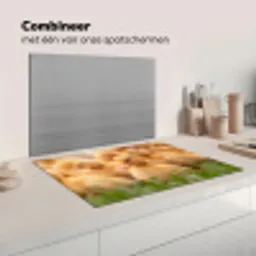 Pijltje - Eend - Natuur - Geel Inductie beschermer vinyl 3mm klein -wsfeer7_website