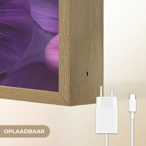 Paars - Viool - Diepte Light Box met batterij (Wandlamp) middel -USP_websiteoplaadbaarNL